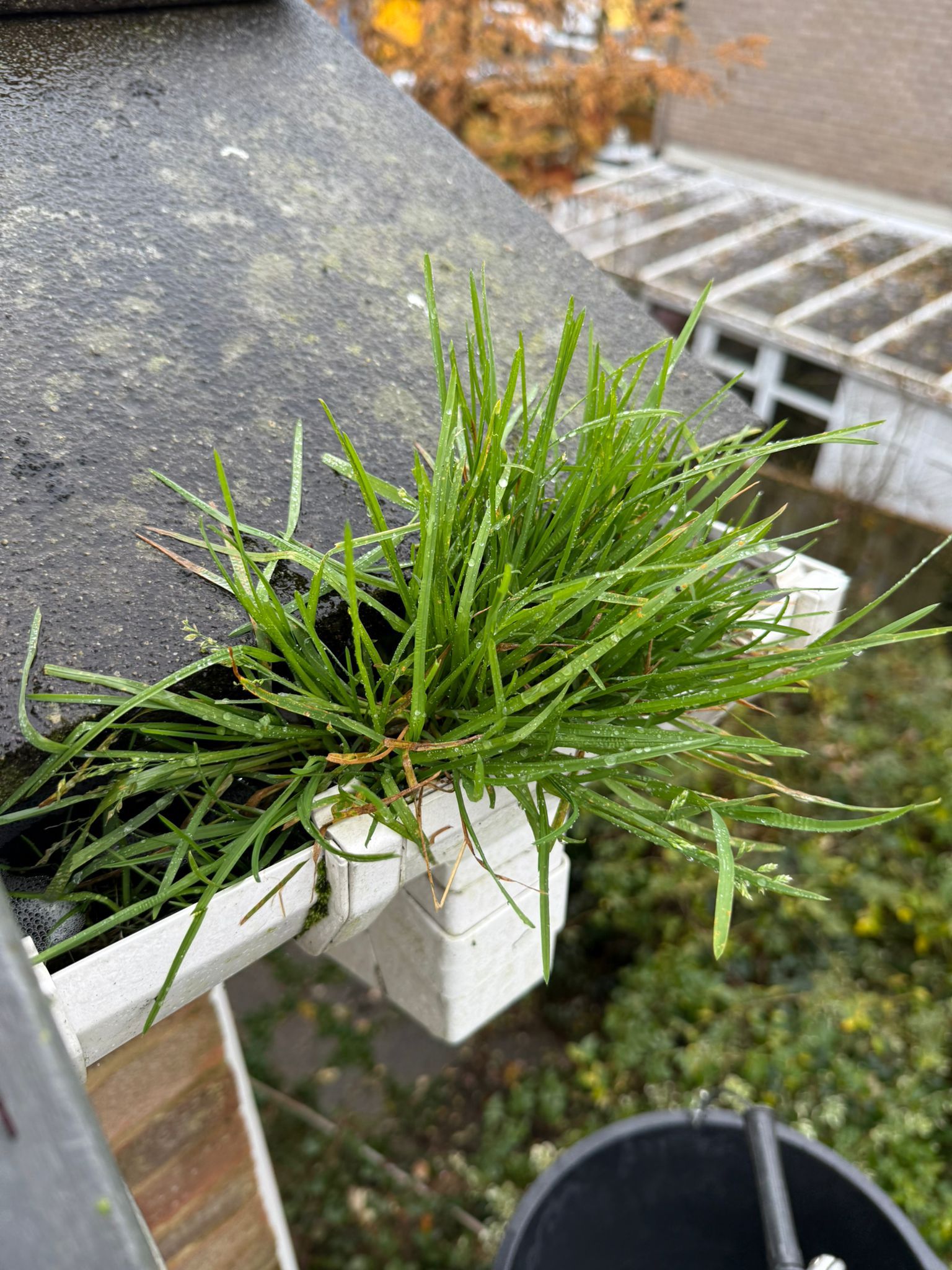 Blocked gutter downpipe in Frimley